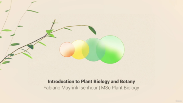 Introduction to plant biology and botany - Screenshot_04
