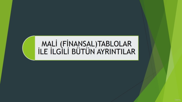 Sıfırdan İleri Seviye Mali(Finansal) Tablolar – Screenshot 1