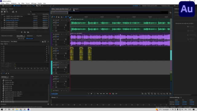 Adobe Audition Formation de A à Z pour les débutants (2024) - Screenshot_02
