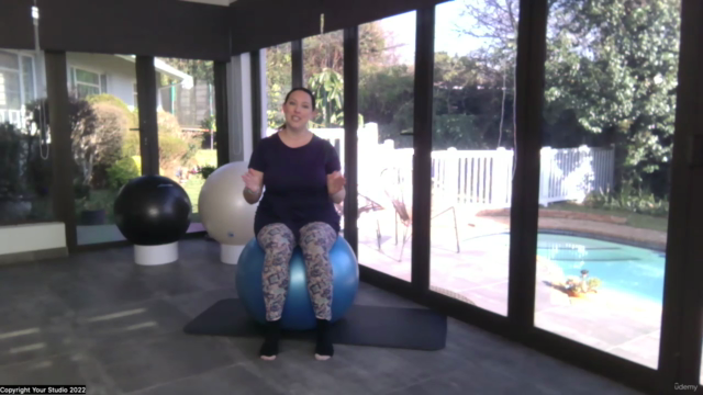 Pilates Classes using the Stability Ball – Screenshot 4