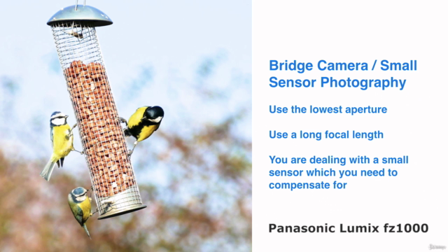 Photography Composition Crash Course For Complete Beginners – Screenshot 3