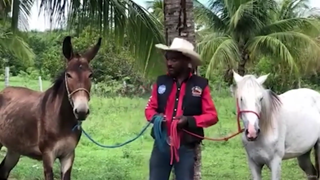 Equitação Social - Formação de Amazonas e Cavaleiros – Screenshot 1