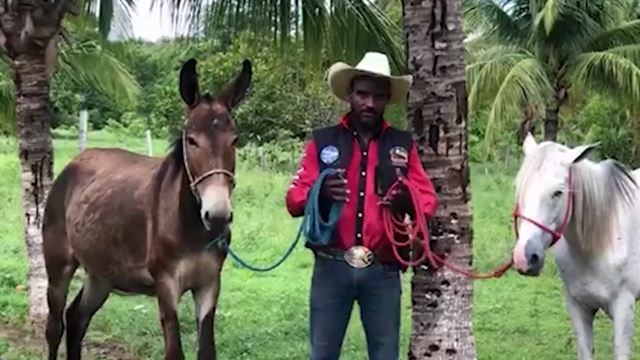 Equitação Social - Formação de Amazonas e Cavaleiros – Screenshot 3