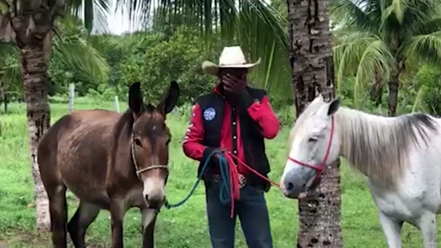 Equitação Social - Formação de Amazonas e Cavaleiros – Screenshot 4
