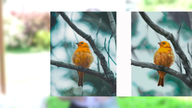 Realismo Masterclass: Arte Digital Realista – Screenshot 1