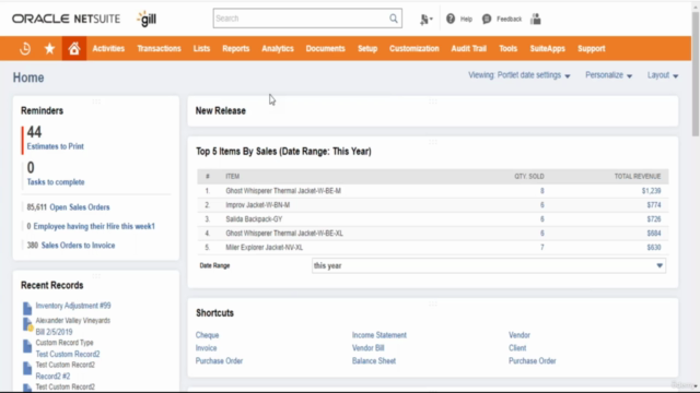 Best Netsuite Course for Novices and Professionals – Screenshot 1