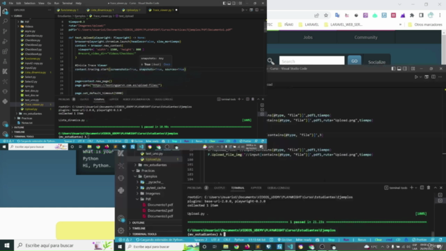 Master:Playwright con Python, pruebas automatizada (Español) – Screenshot 3