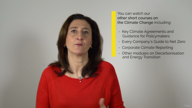 Heavy Industry Decarbonisation and Energy Transition – Screenshot 3