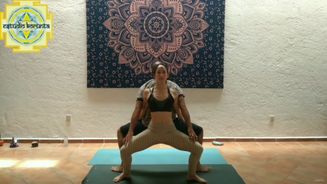 Partner Yoga Course – Screenshot 2