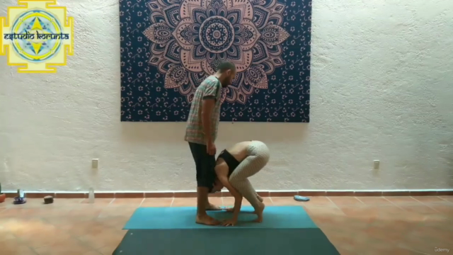 Partner Yoga Course – Screenshot 4