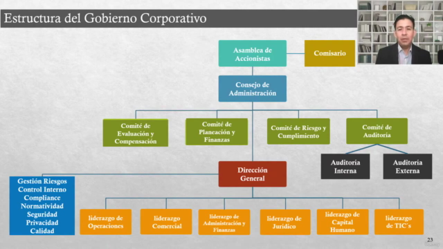 Gobierno Corporativo – Screenshot 3