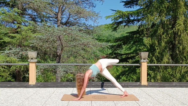 Hatha Yoga per principianti. Seguenze fluide e dolci – Screenshot 3