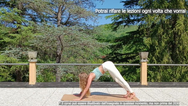 Hatha Yoga per principianti. Seguenze fluide e dolci – Screenshot 4