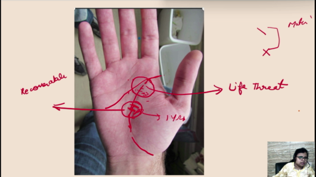 Palmistry - Beginners to Intermediate – Screenshot 2