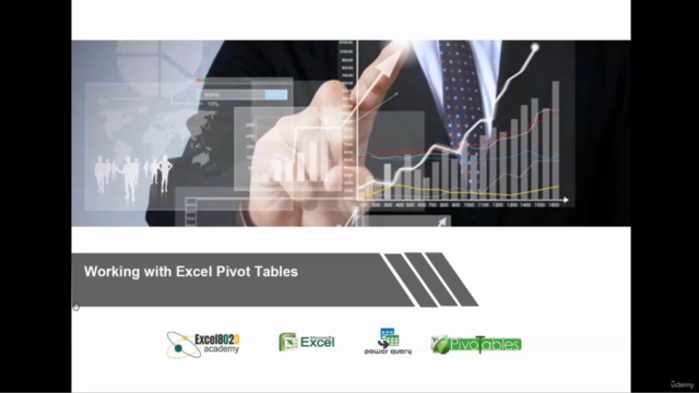 Working with Excel Pivot Tables – Screenshot 1