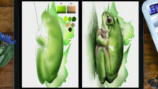 The Procreate Watercolor Masterclass – Screenshot 2