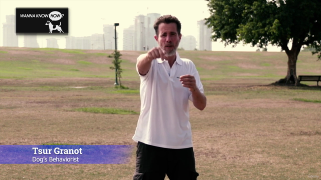 Wanna know how? – Screenshot 4