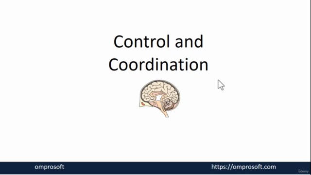 Biology-Control & Co-ordination_ Nervous system_ Human Brain - Screenshot_01