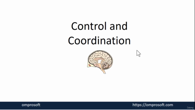 Biology-Control & Co-ordination_ Nervous system_ Human Brain – Screenshot 1