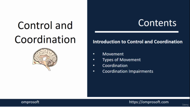 Biology-Control & Co-ordination_ Nervous system_ Human Brain - Screenshot_02