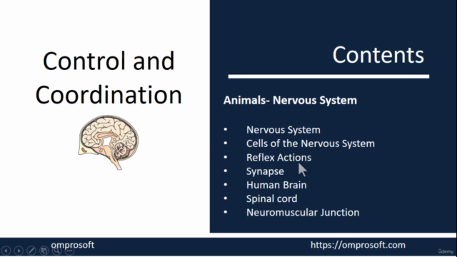 Biology-Control & Co-ordination_ Nervous system_ Human Brain - Screenshot_03