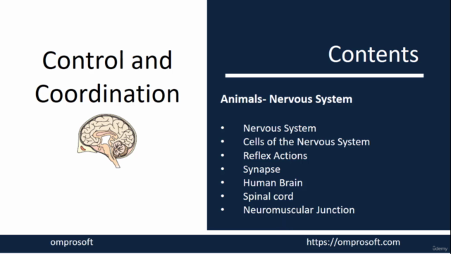 Biology-Control & Co-ordination_ Nervous system_ Human Brain – Screenshot 4
