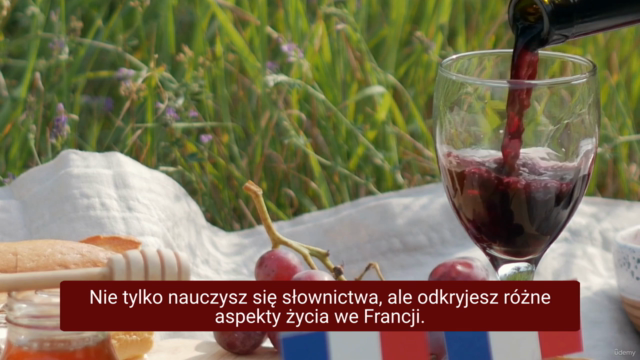 Francuski konwersacje - poziom A2-B1+ – Screenshot 4