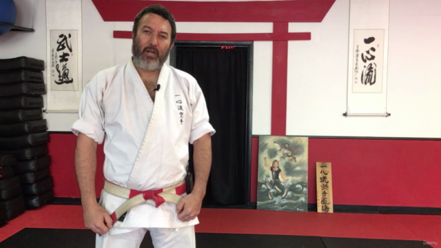 Dissect the Dissection of Isshinryu: Chinto Kata – Screenshot 1
