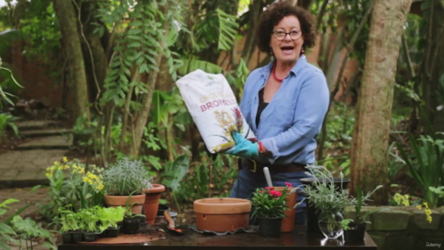 Orquídeas- como cultivar de modo simples e descomplicado – Screenshot 1