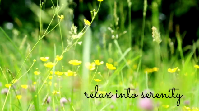 Qigong for Energy, Joy, Serenity – Screenshot 4