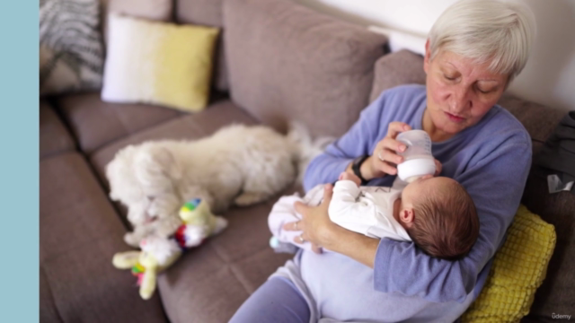 Dog Training for Expectant Parents – Screenshot 2