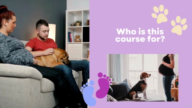 Dog Training for Expectant Parents – Screenshot 4