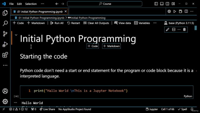 Coding For The Professional Non-Developer – Screenshot 1