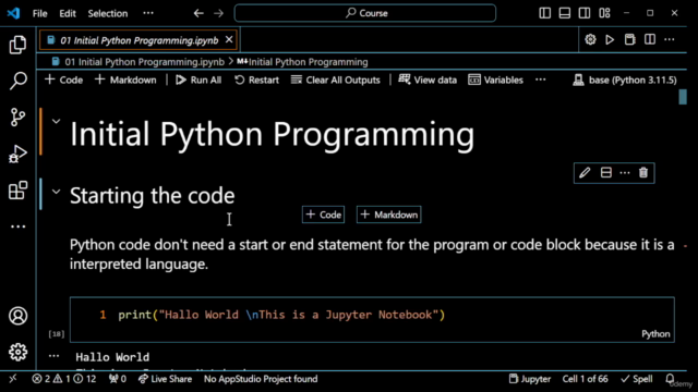 Coding For The Professional Non-Developer – Screenshot 3