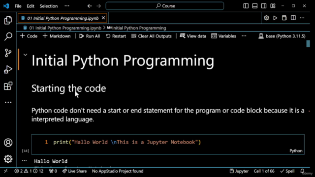 Coding For The Professional Non-Developer – Screenshot 4