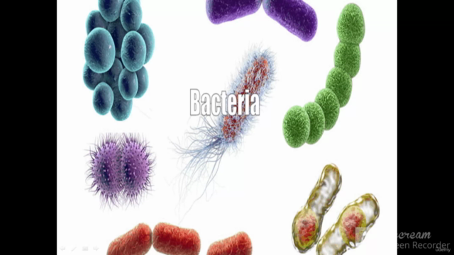Basics of Microbiology - Screenshot_02