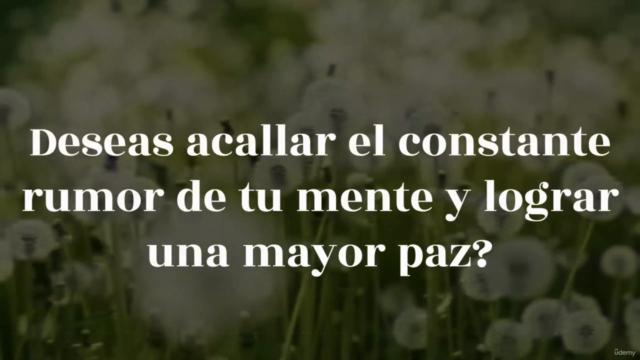 Meditación Mindfulness para una vida más plena – Screenshot 2