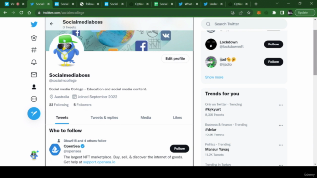 Twitter Automation - A Twitter bot that does all the work – Screenshot 2