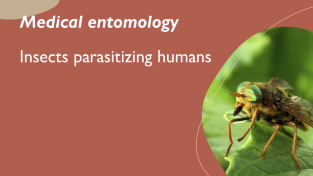 Introduction to Medical Entomology – Screenshot 1