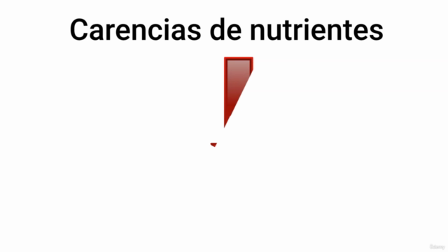 Nutrición Emocional - Screenshot_02