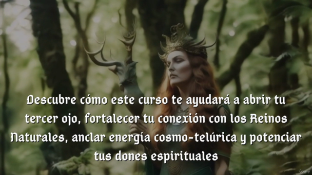 Reiki Naturaleza Mágica – Screenshot 3