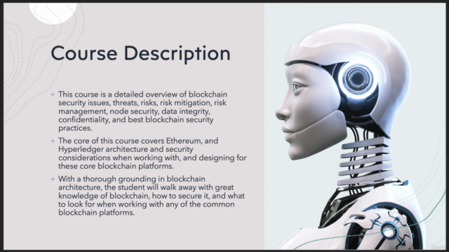 Practical Blockchain Security – Screenshot 2