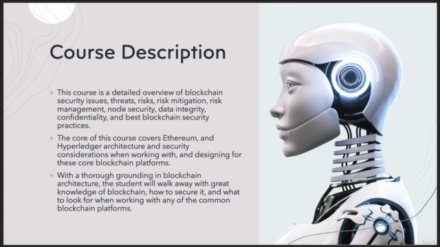 Practical Blockchain Security – Screenshot 3