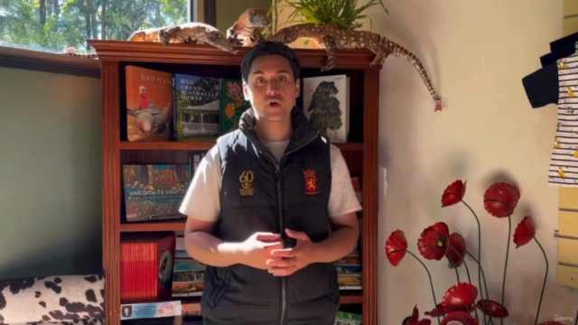 Holistic Medicine: Herbalism and Natural Medicine Guide – Screenshot 3