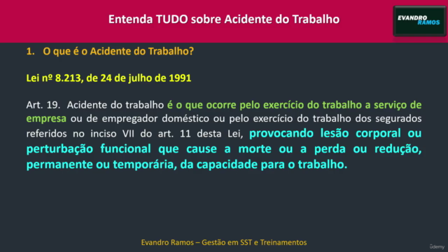 Gestão de Acidentes do Trabalho e de Afastamentos INSS – Screenshot 2