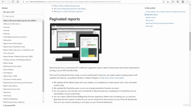 Business Reports with SQL Server Reporting Services (SSRS) – Screenshot 2