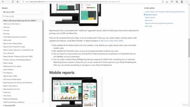 Business Reports with SQL Server Reporting Services (SSRS) – Screenshot 4