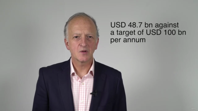 Sustainable, Green and Climate Finance: High-level Overview – Screenshot 3