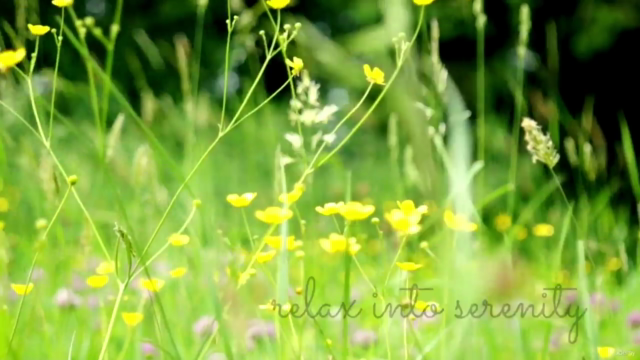 Self Love Hatha Yoga Program – Screenshot 4