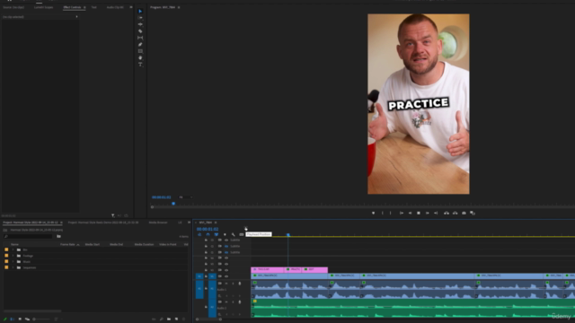 Create "Hormozi Style" Reels & Shorts in Premiere Pro – Screenshot 3
